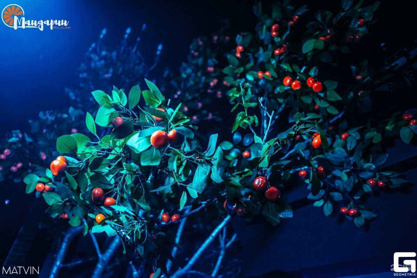 Отзывы на компанию Кухня в г. Калуга c фото