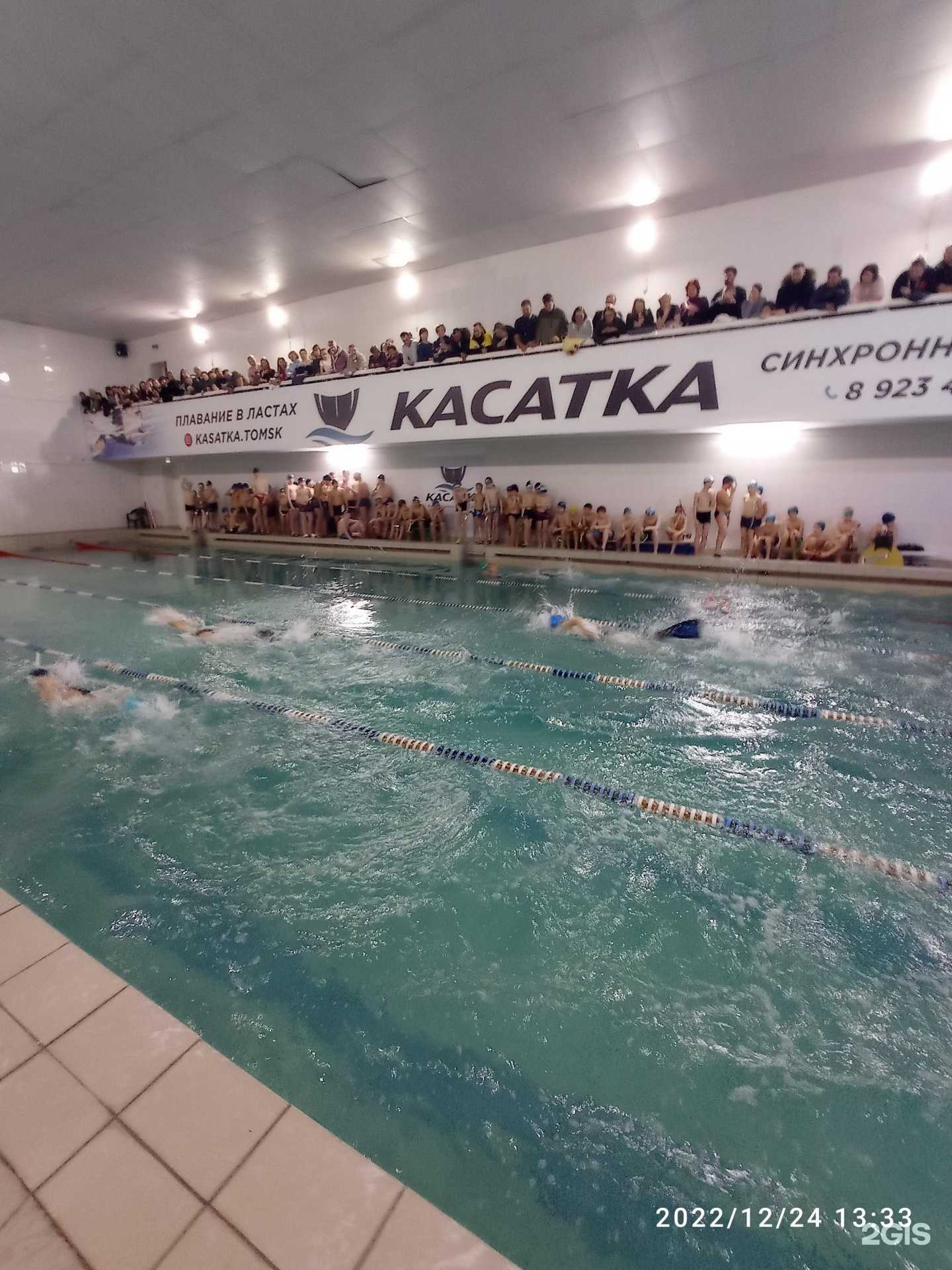 Отзывы на компанию Касатка в Томске c фото