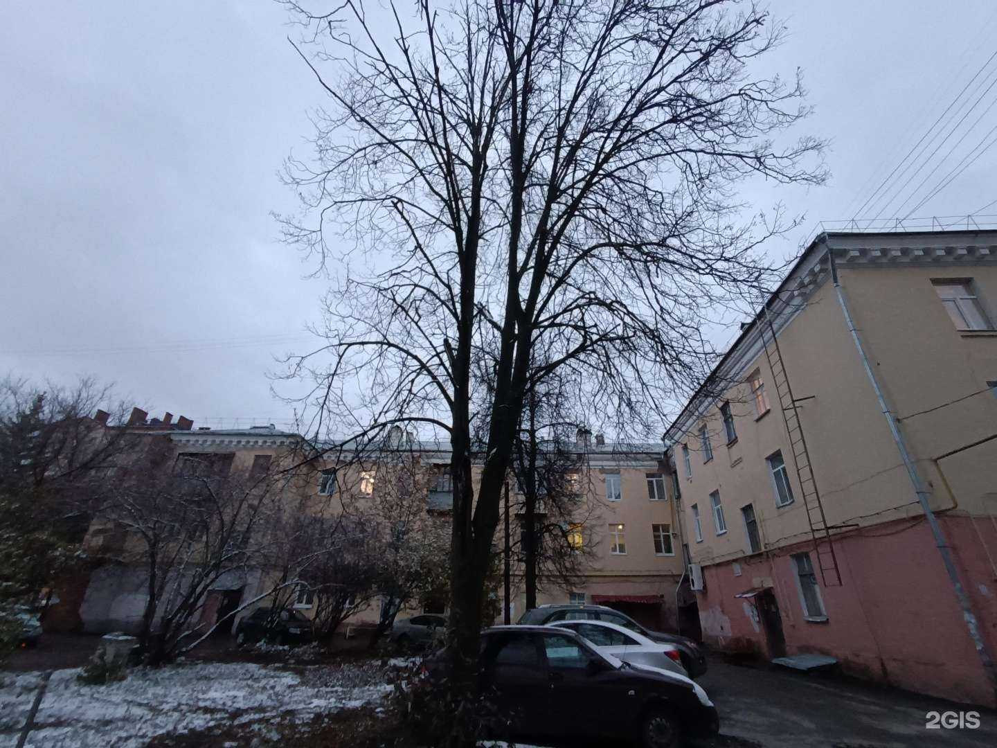 Отзывы на компанию Аргус в Йошкар-Оле c фото - фотография 2 из 2