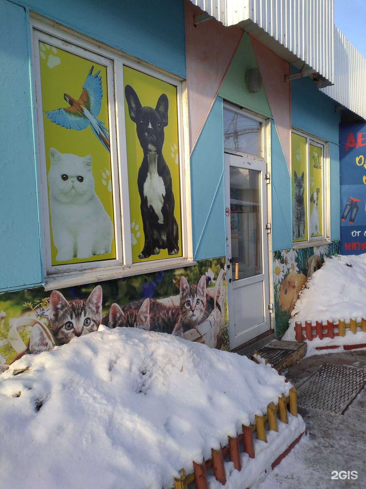 Отзывы на компанию Собачье сердце в Тюмени c фото