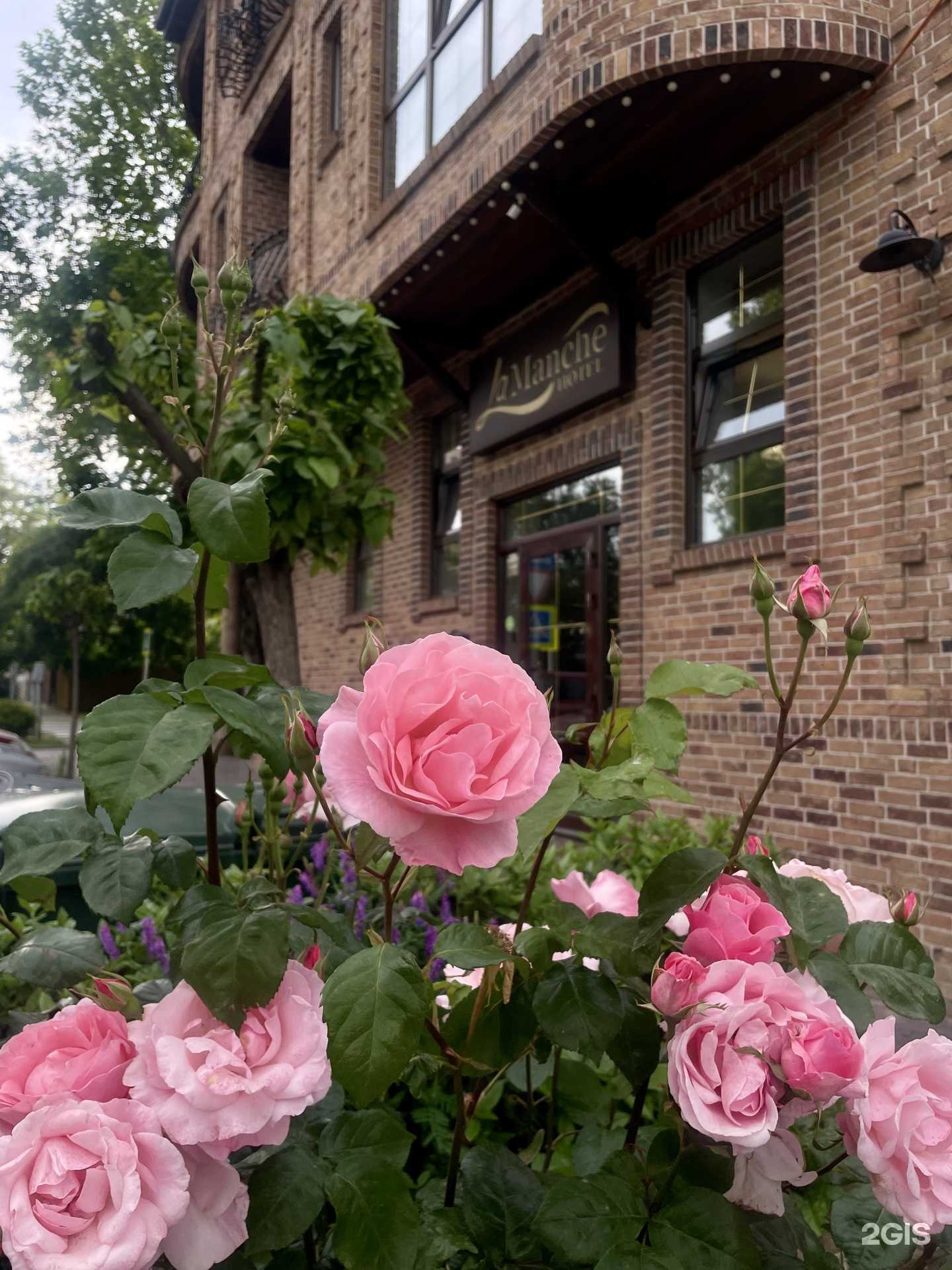 Отзывы на компанию LaManсhe в Анапе c фото