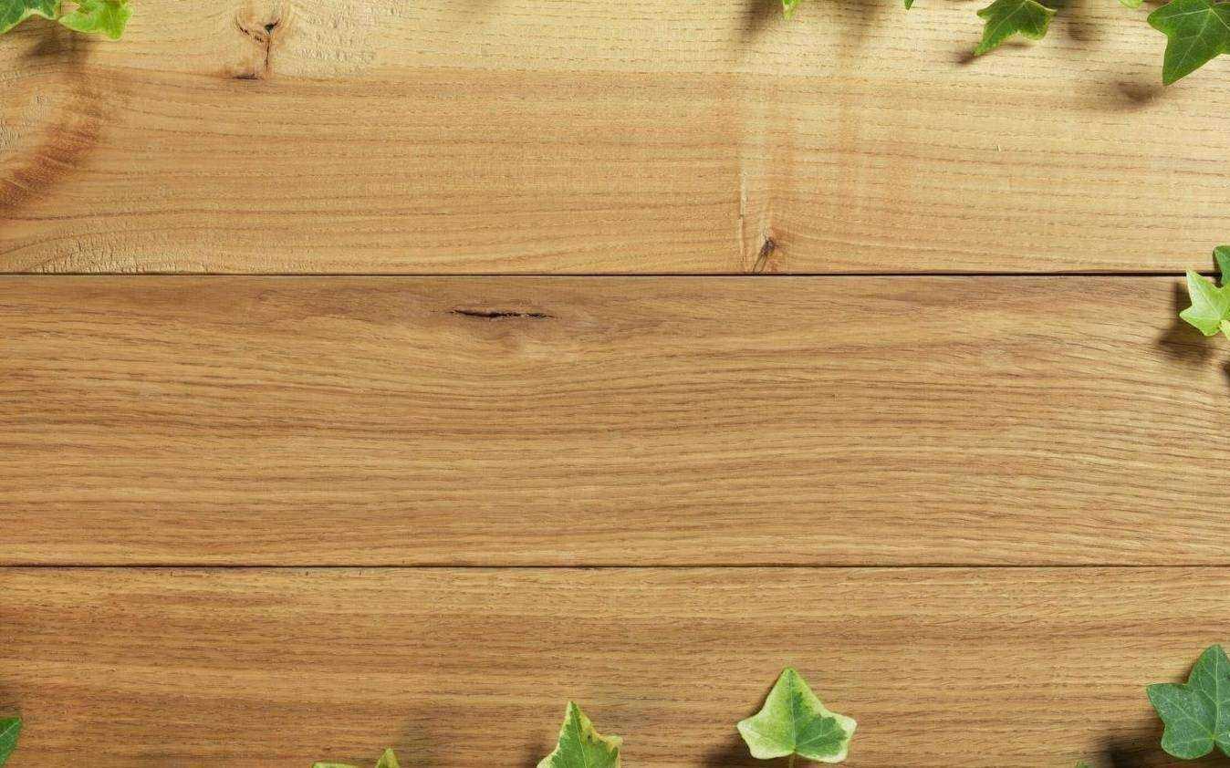 Отзывы на компанию Элитлес в Ижевске c фото