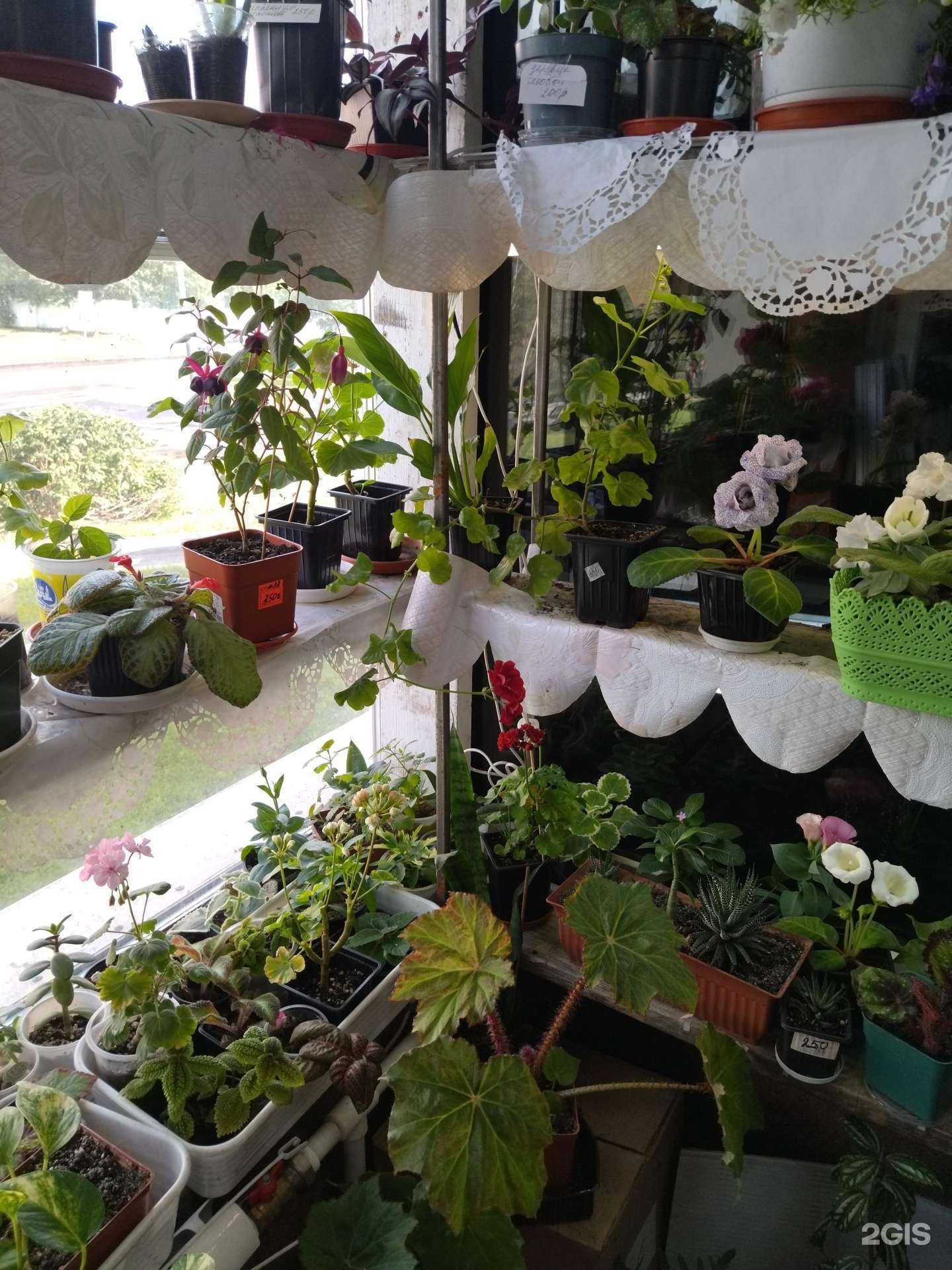 Отзывы на компанию Успех в Междуреченске c фото