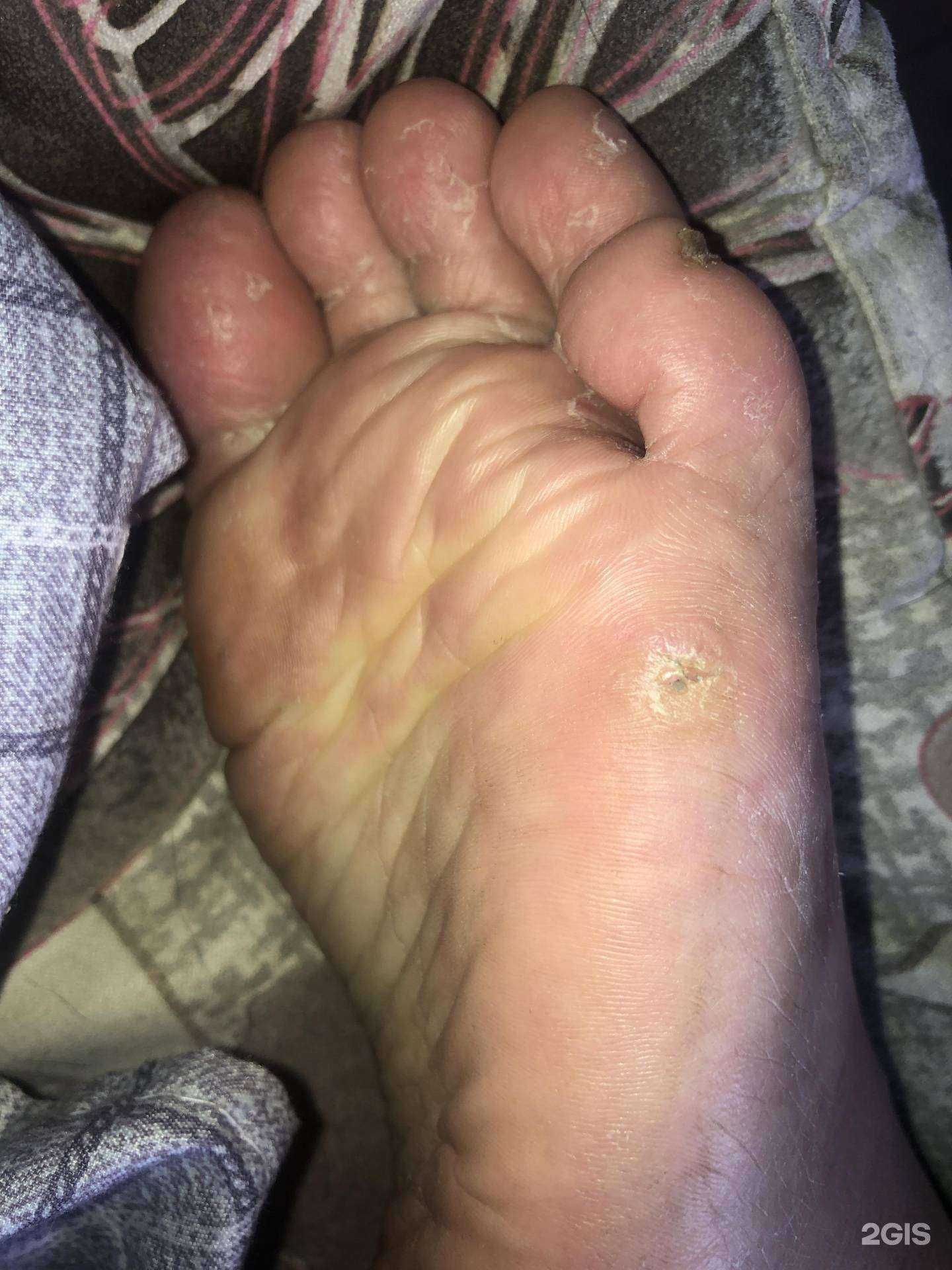 Отзывы на компанию АльтерМед в г. Артём c фото