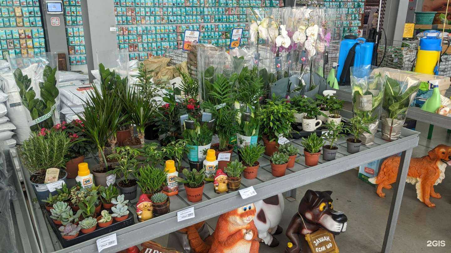 Отзывы на компанию Сады России в г. Челябинск c фото