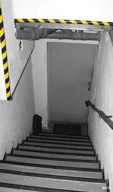 Отзывы на компанию Стандарты безопасности в г. Саранск c фото