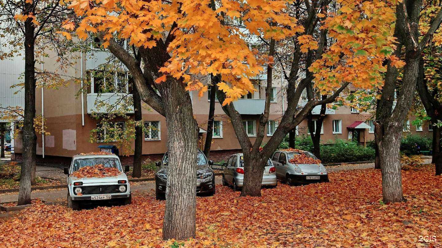 Отзывы на компанию Smart Юрист в Уфе c фото - фотография 2 из 2