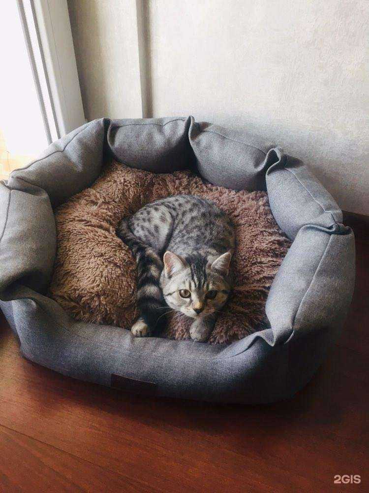 Отзывы на компанию Мир хвостатых в Екатеринбурге c фото