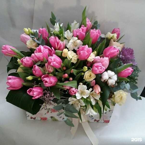 Отзывы на компанию Шелковое дерево в Челябинске c фото