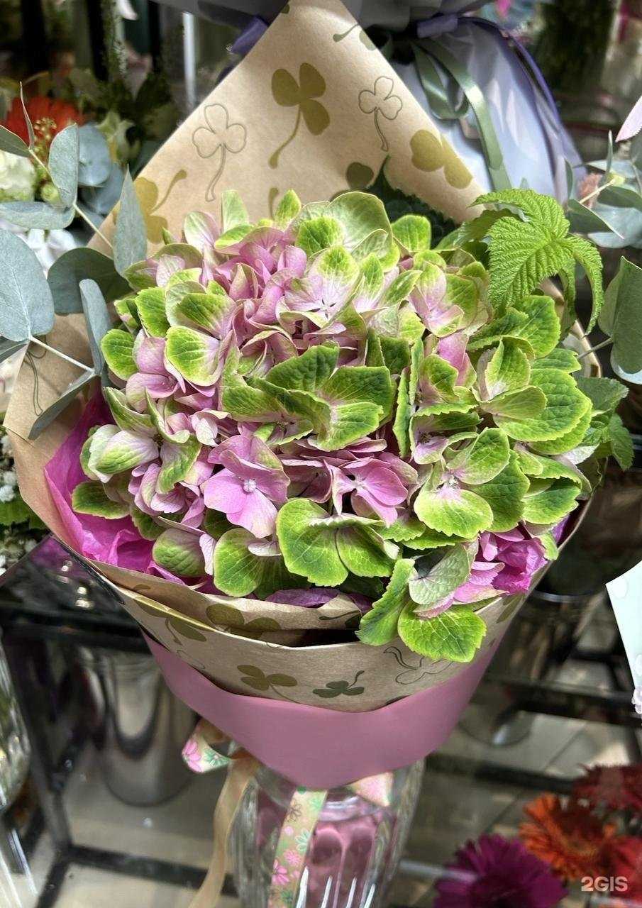 Отзывы на компанию Клевер в Архангельске c фото