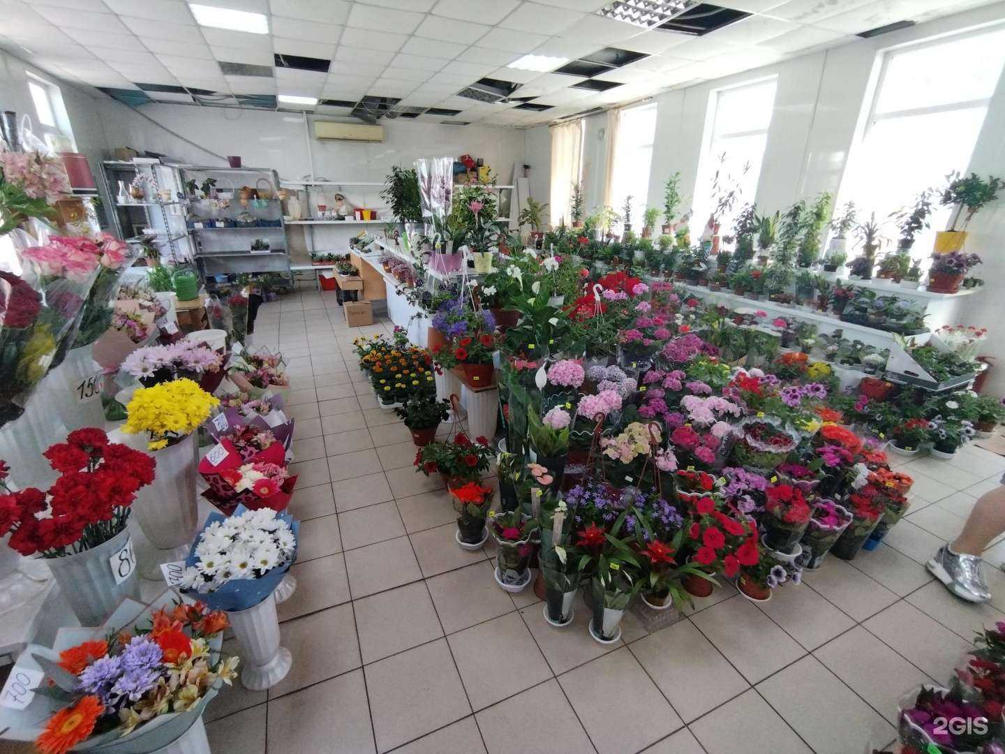Отзывы на компанию Цветочный рай в Астрахани c фото
