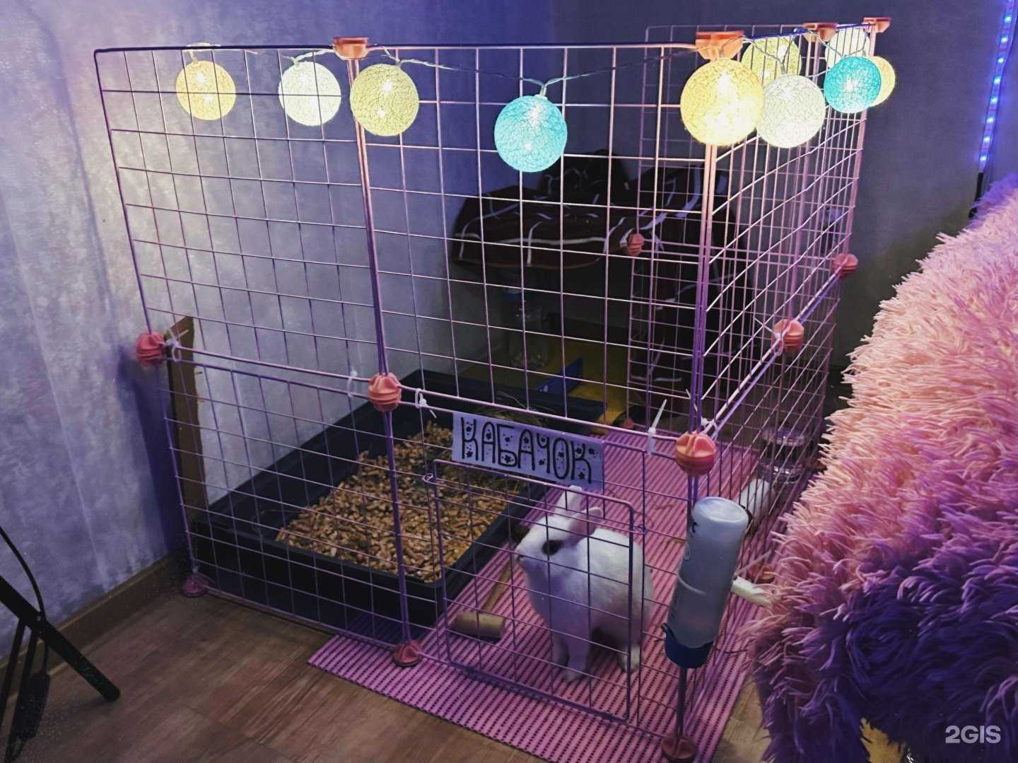 Отзывы на компанию Зоомагазин70 в г. Томск c фото