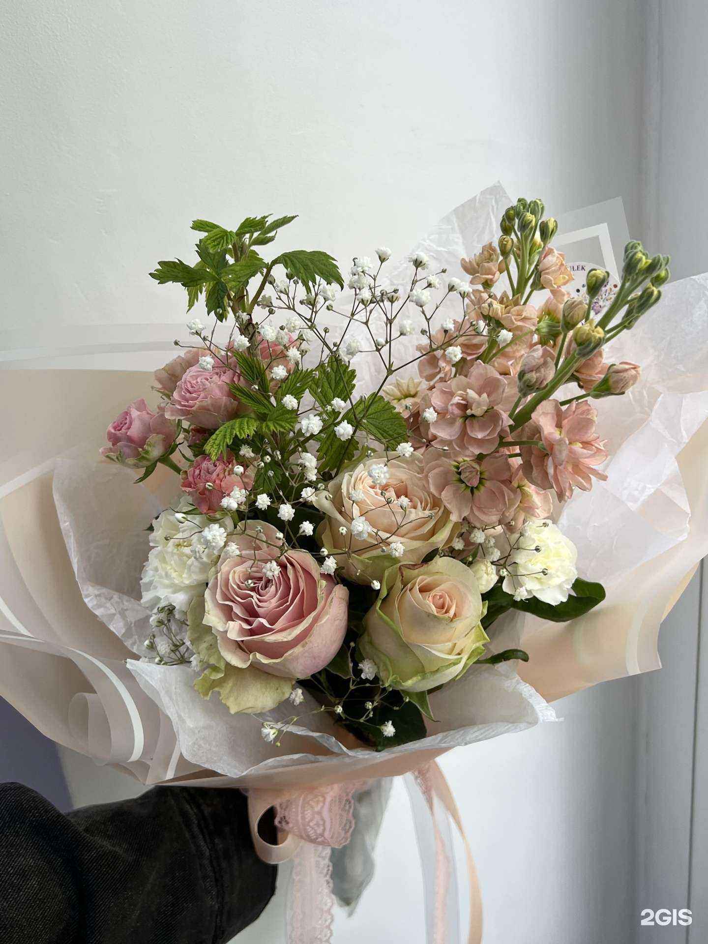 Отзывы на компанию Le kulék в Тольятти c фото