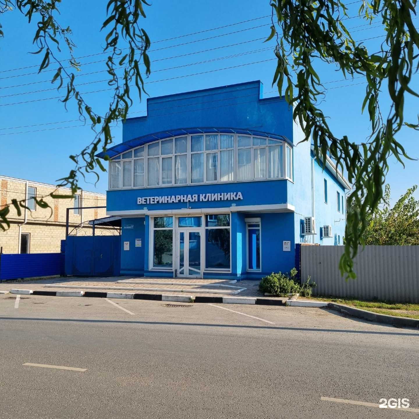 Отзывы на компанию Четыре лапы в Славянске-на-Кубани c фото - фотография 2 из 2