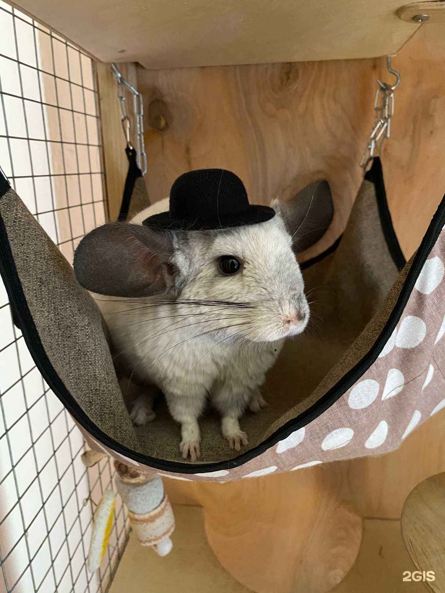 Отзывы на компанию Ателье по пошиву и ремонту одежды в Пятигорске c фото