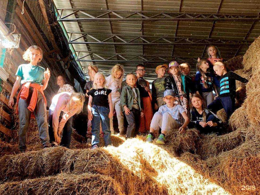 Отзывы на компанию Кот в Шляпе в Ростове-на-Дону c фото