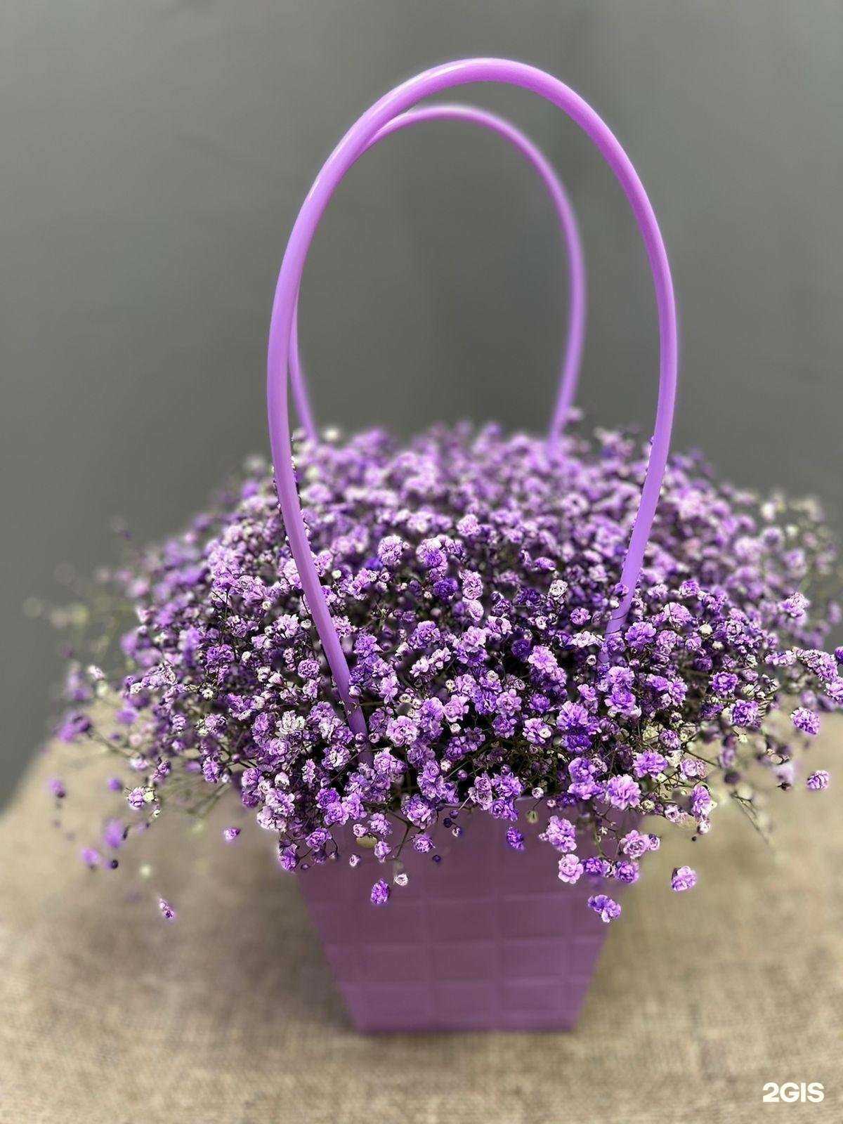 Отзывы на компанию Студия цветов в г. Новый Уренгой c фото