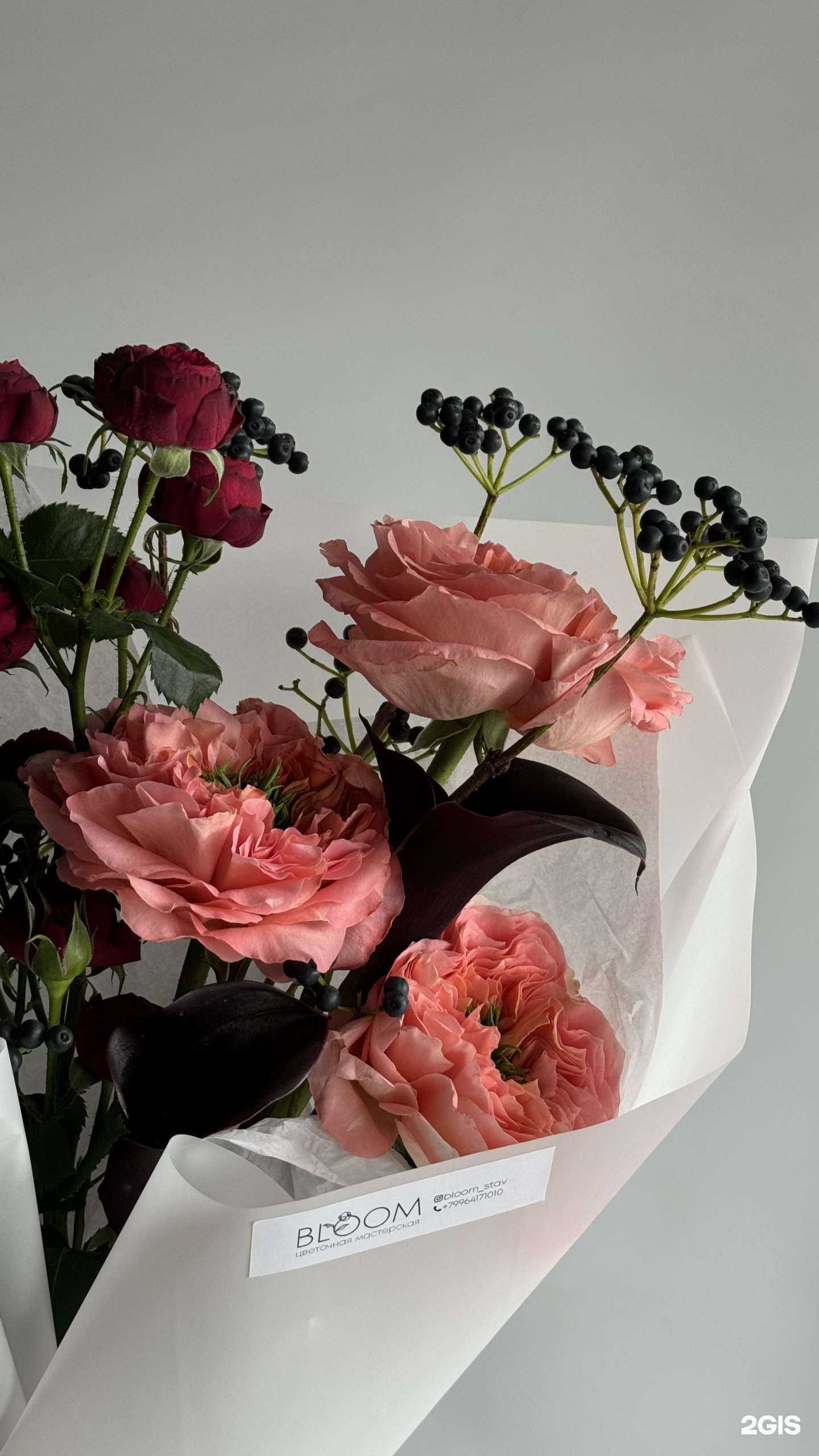 Отзывы на компанию Bloom в Ставрополе c фото