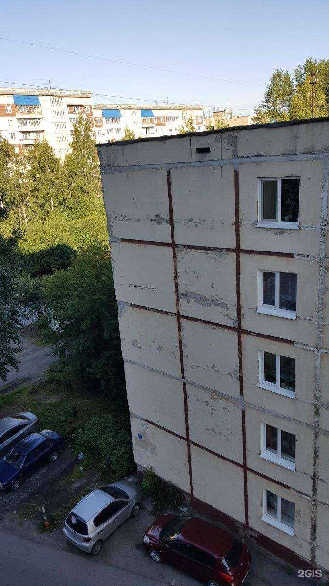 Отзывы на компанию Стрижи в Томске c фото - фотография 2 из 2