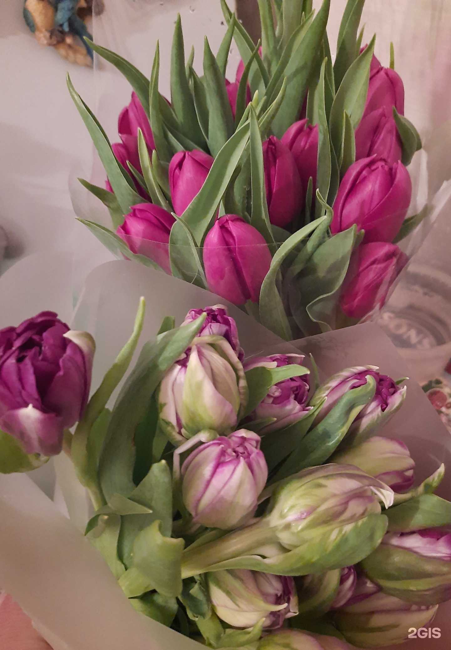 Отзывы на компанию Pestro в г. Магнитогорск c фото