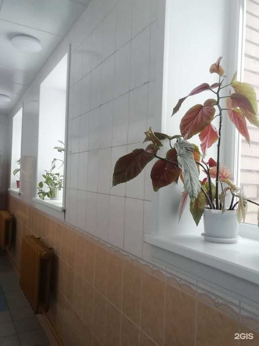 Отзывы на компанию Метелица в г. Архангельск c фото