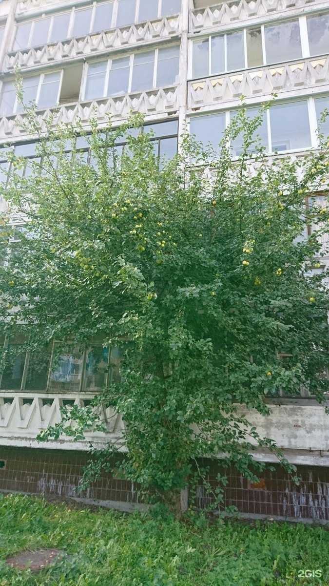 Отзывы на компанию Lady Sharm в Петрозаводске c фото - фотография 2 из 2