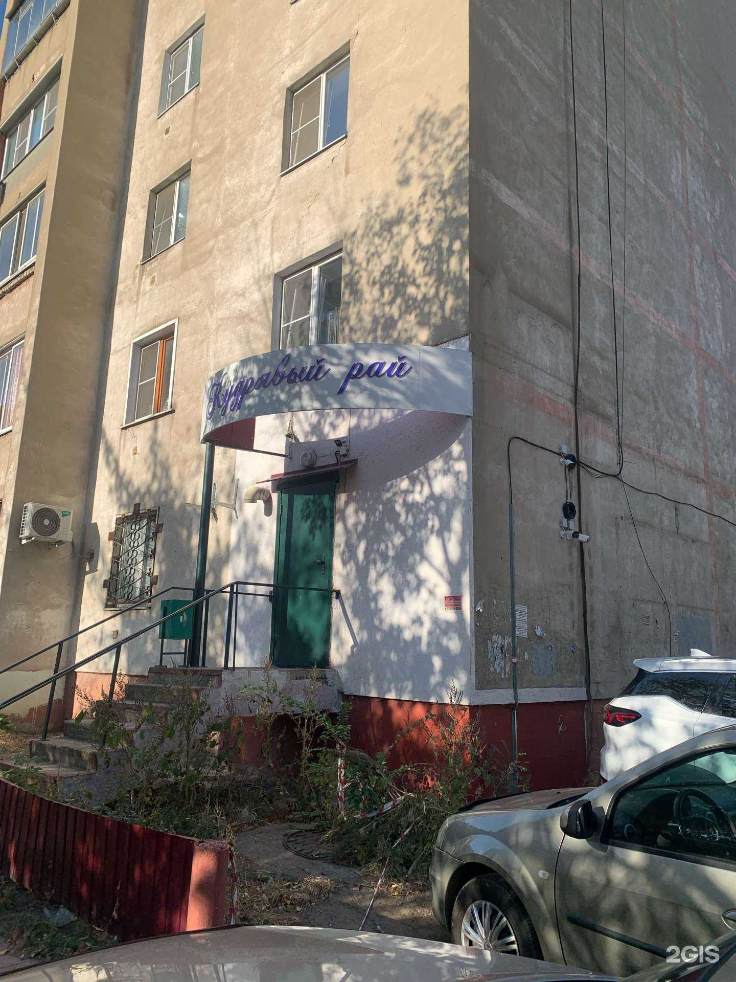 Отзывы на компанию Кудрявый рай в Липецке c фото