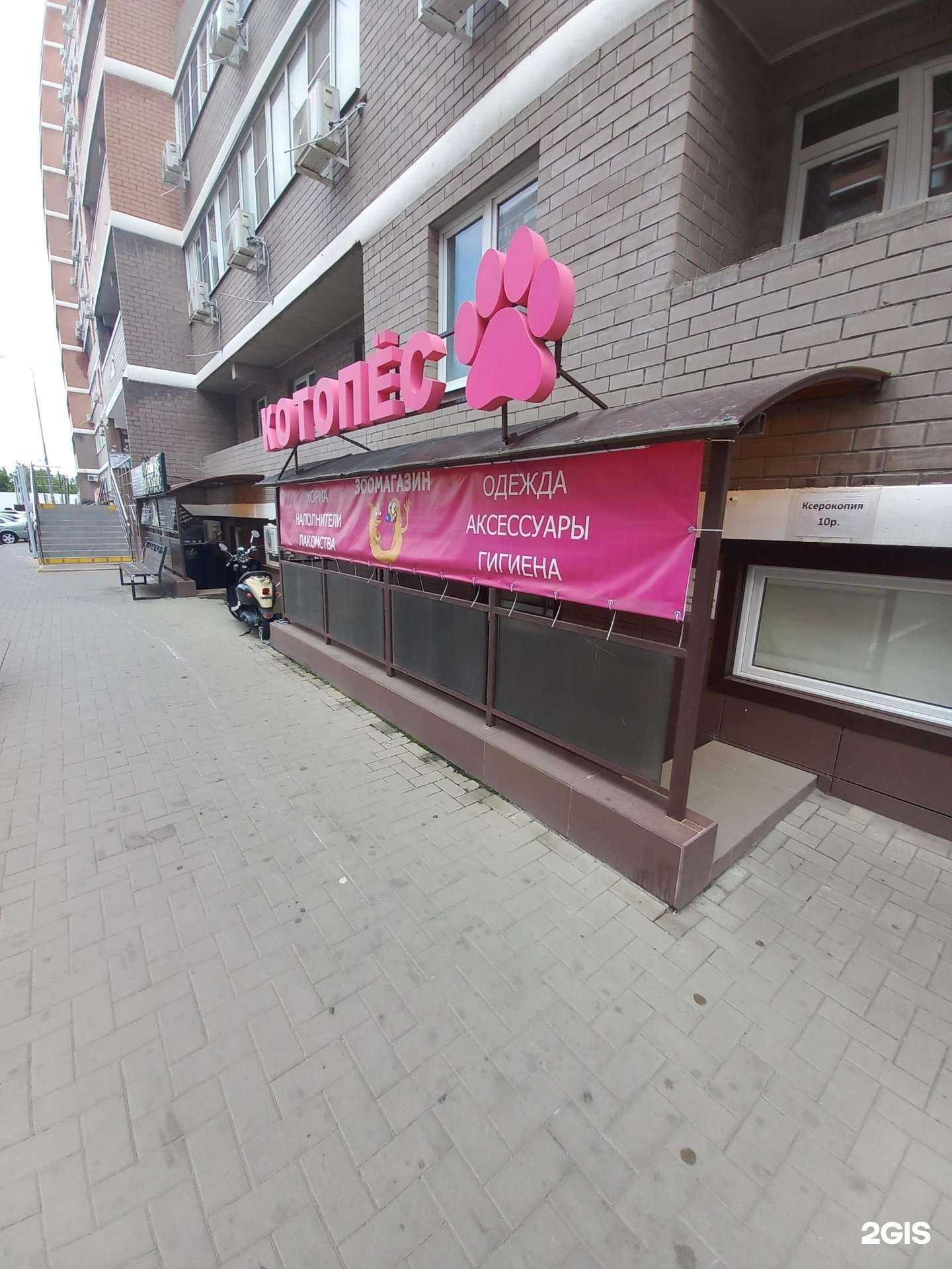 Отзывы на компанию Котопёс в г. Краснодар c фото