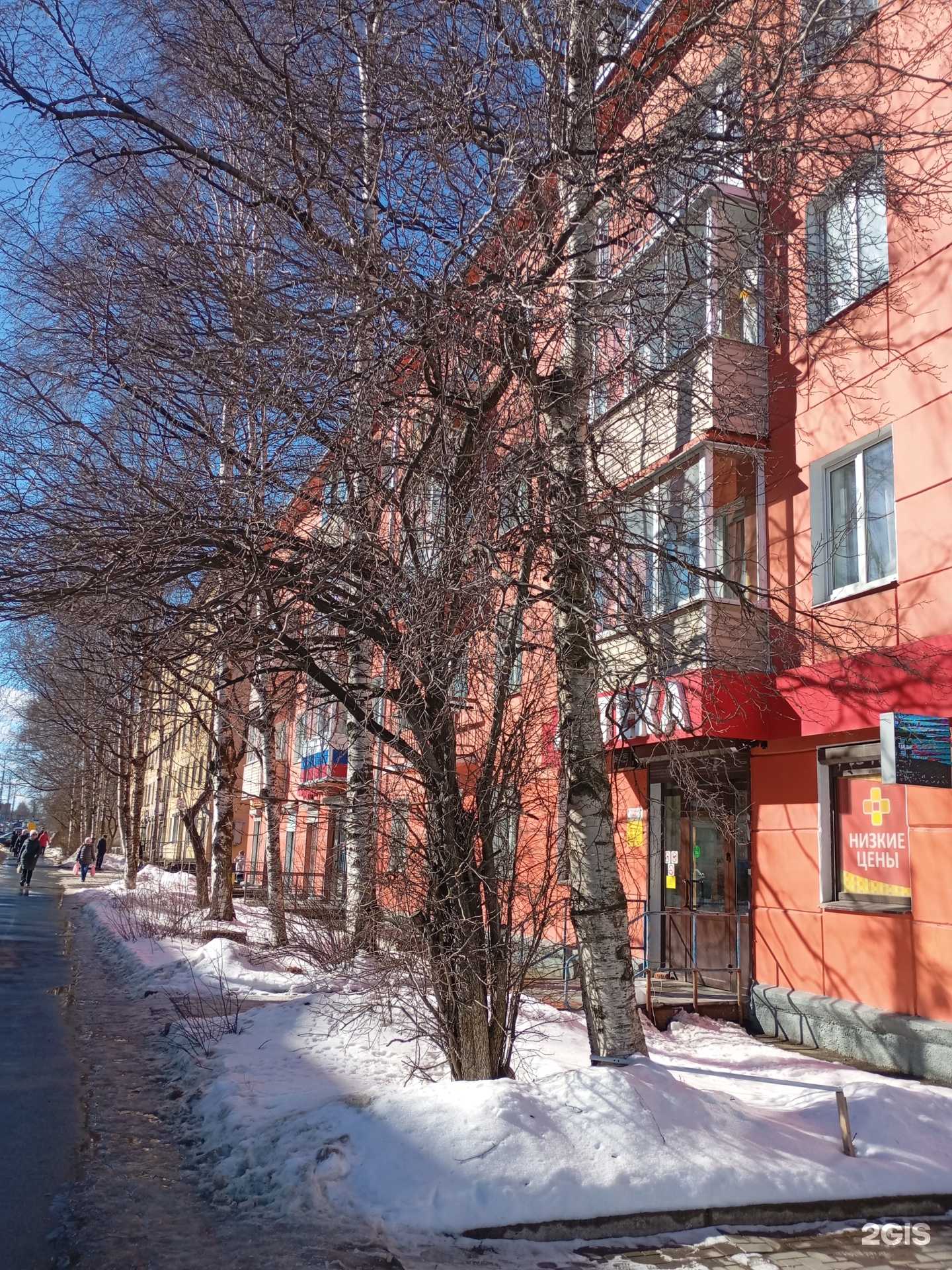 Отзывы на компанию ЗооМир в Петрозаводске c фото - фотография 2 из 2