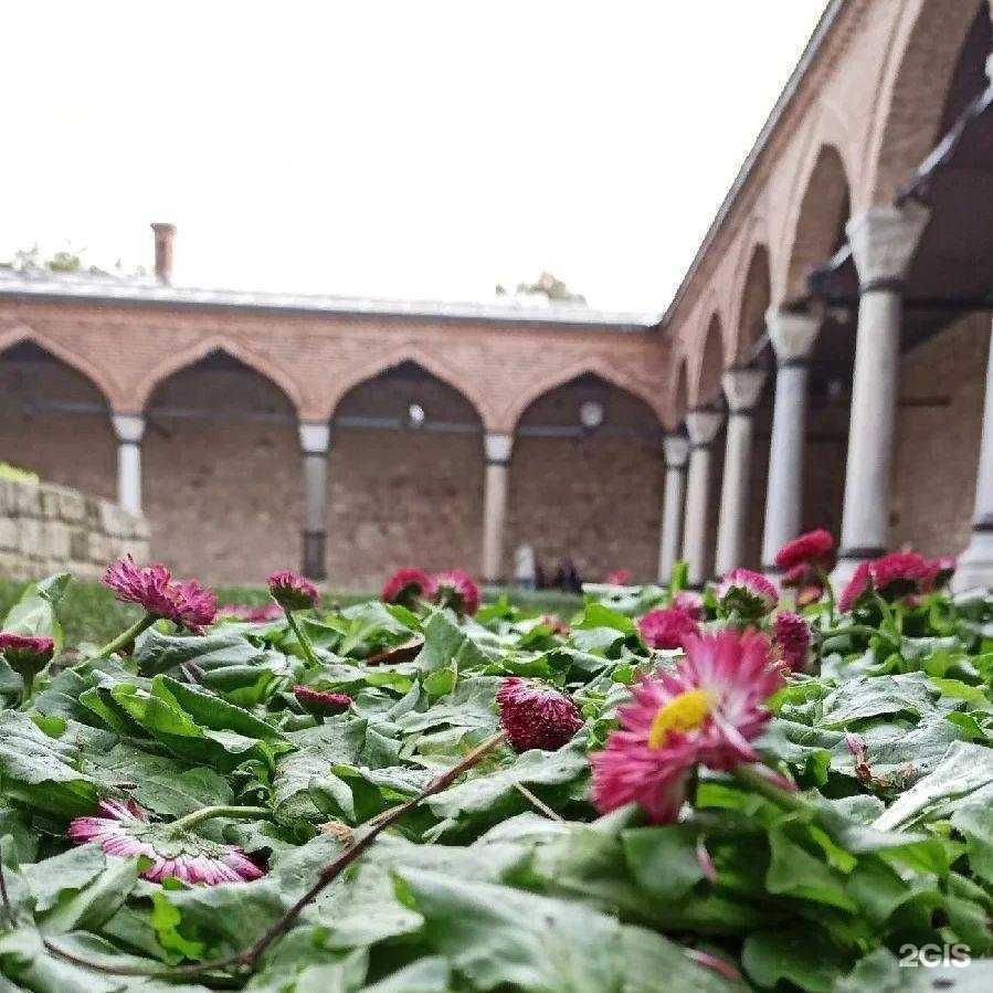 Отзывы на компанию Импрессио тур в г. Пенза c фото