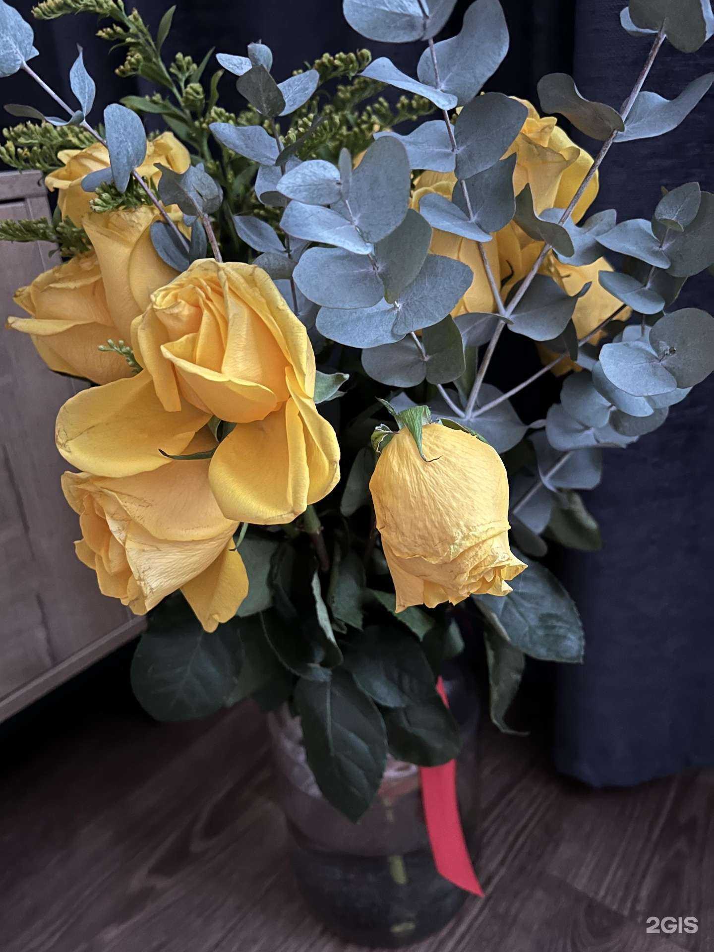 Отзывы на компанию Верба в г. Красноярск c фото