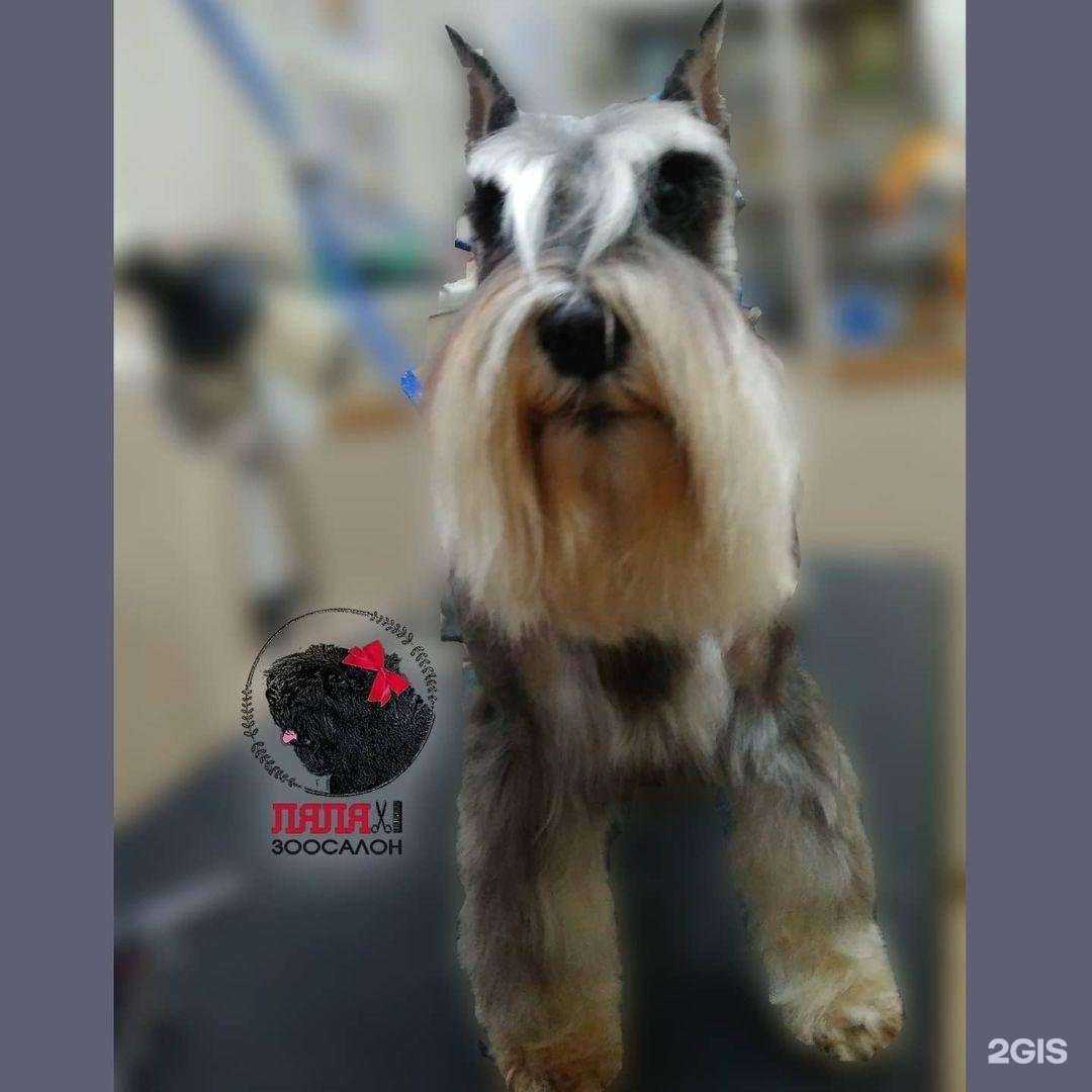 Отзывы на компанию Ляля в г. Химки c фото