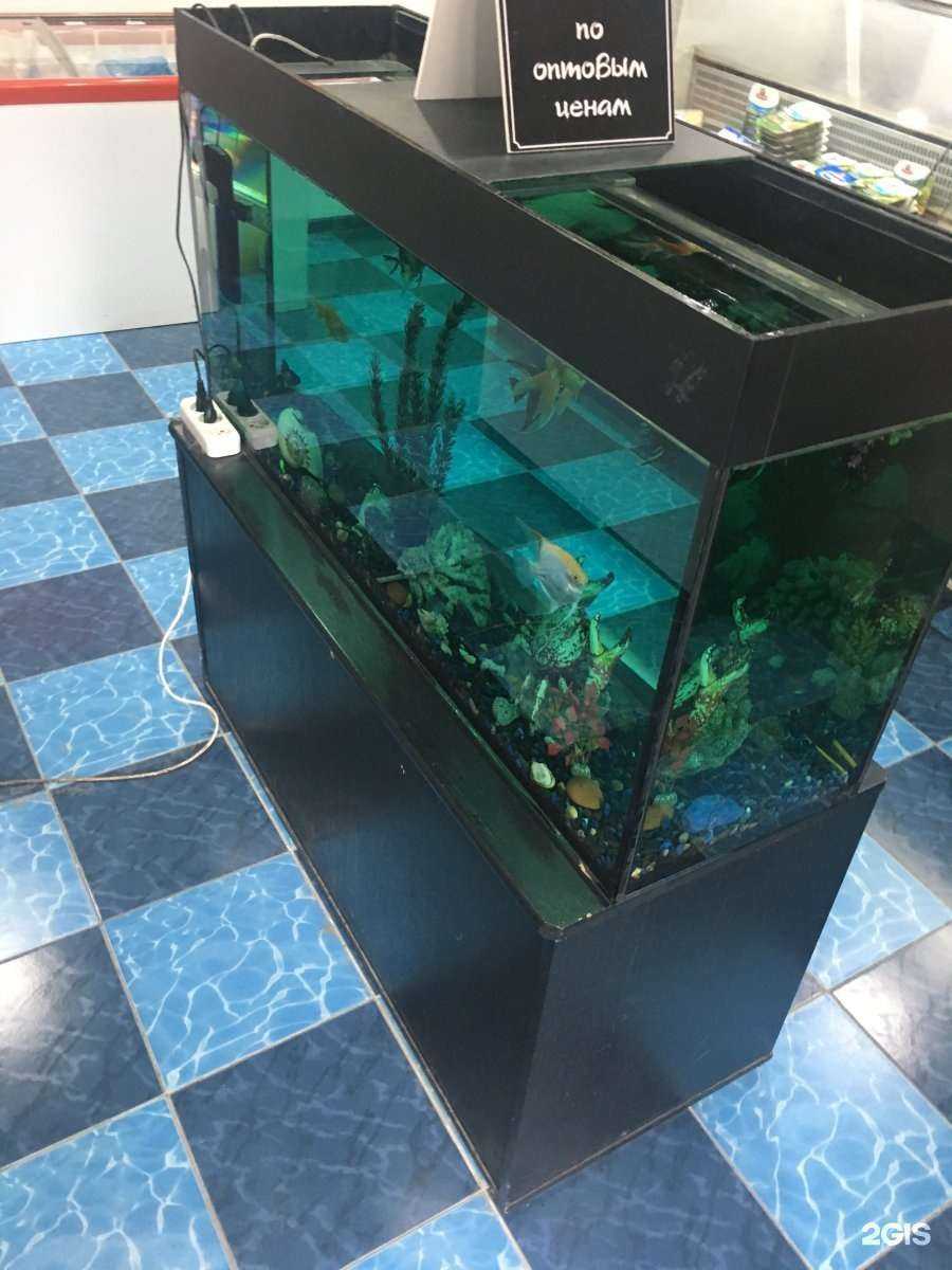 Отзывы на компанию Рыбный маркет в г. Махачкала c фото