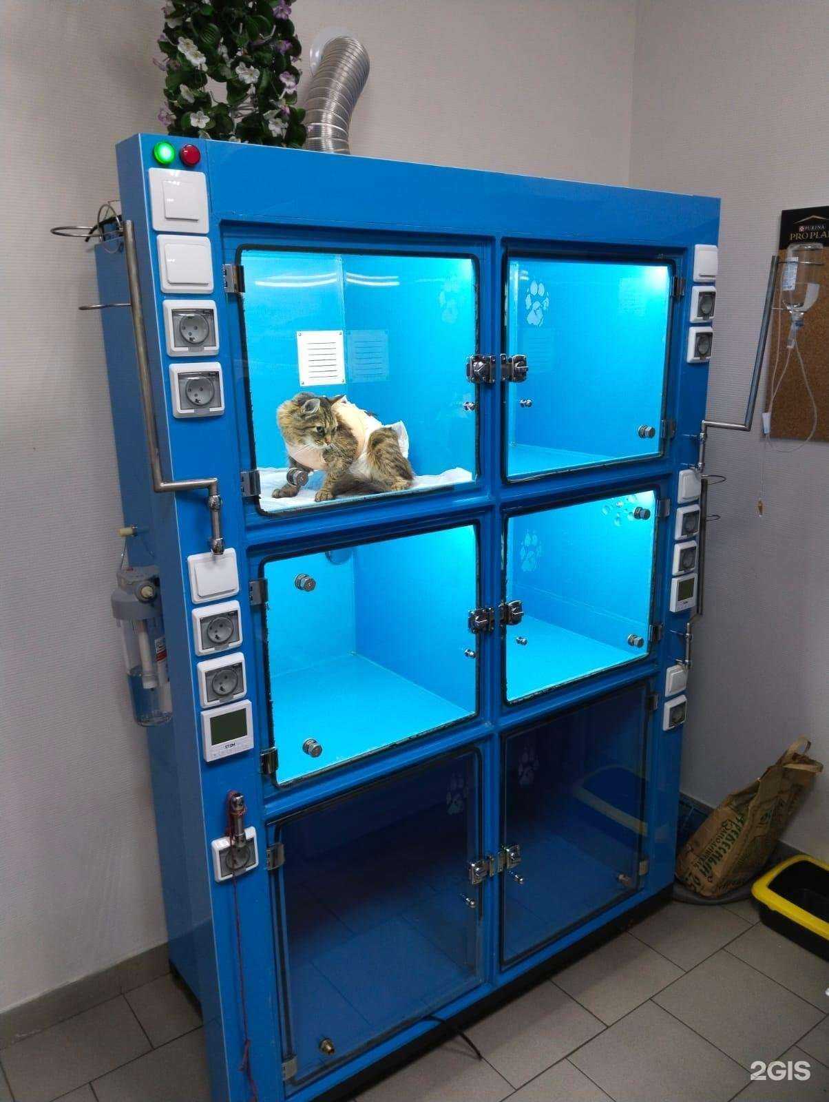 Отзывы на компанию Акуна Матата в г. Ростов-на-Дону c фото