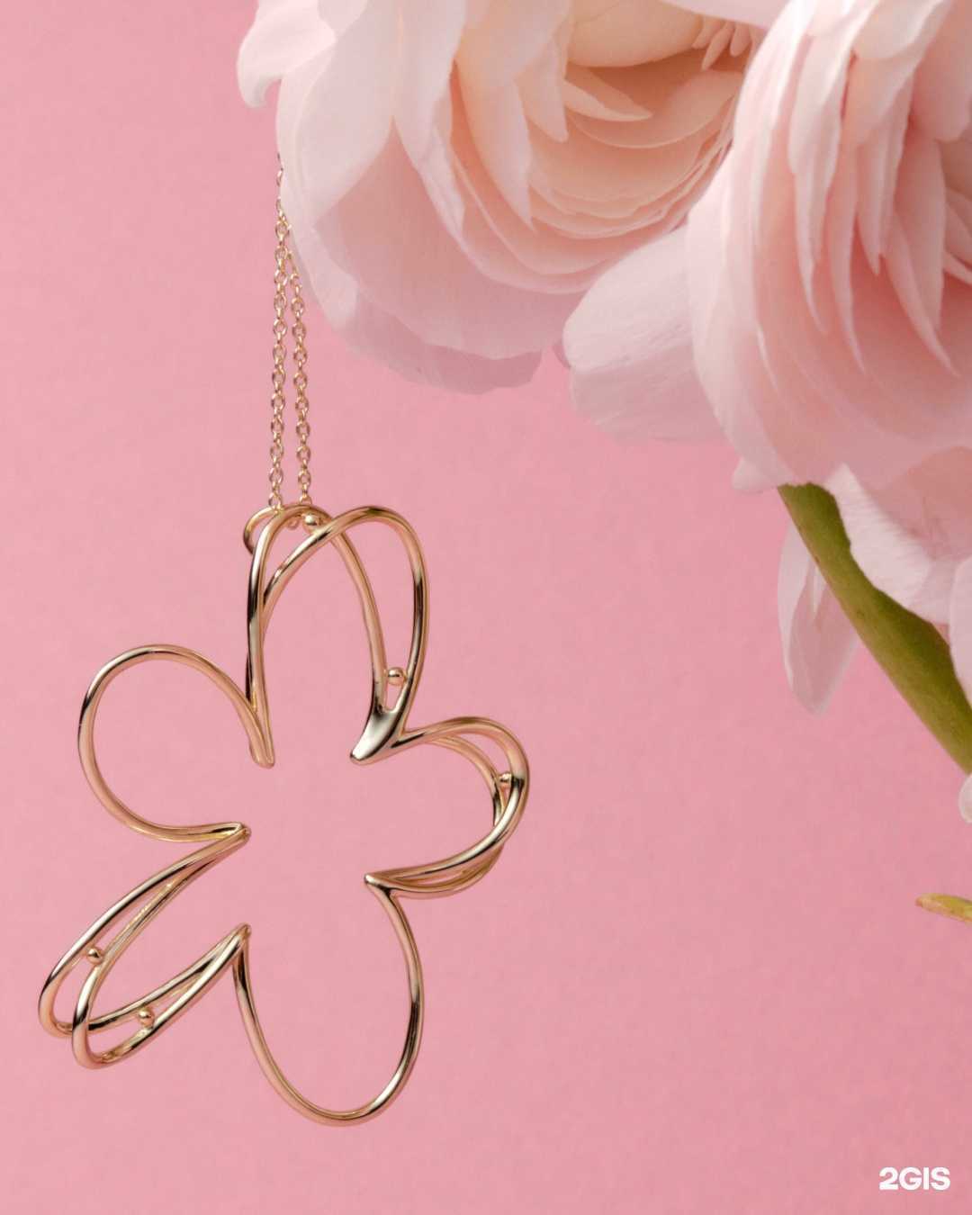 Отзывы на компанию PanClub в Архангельске c фото