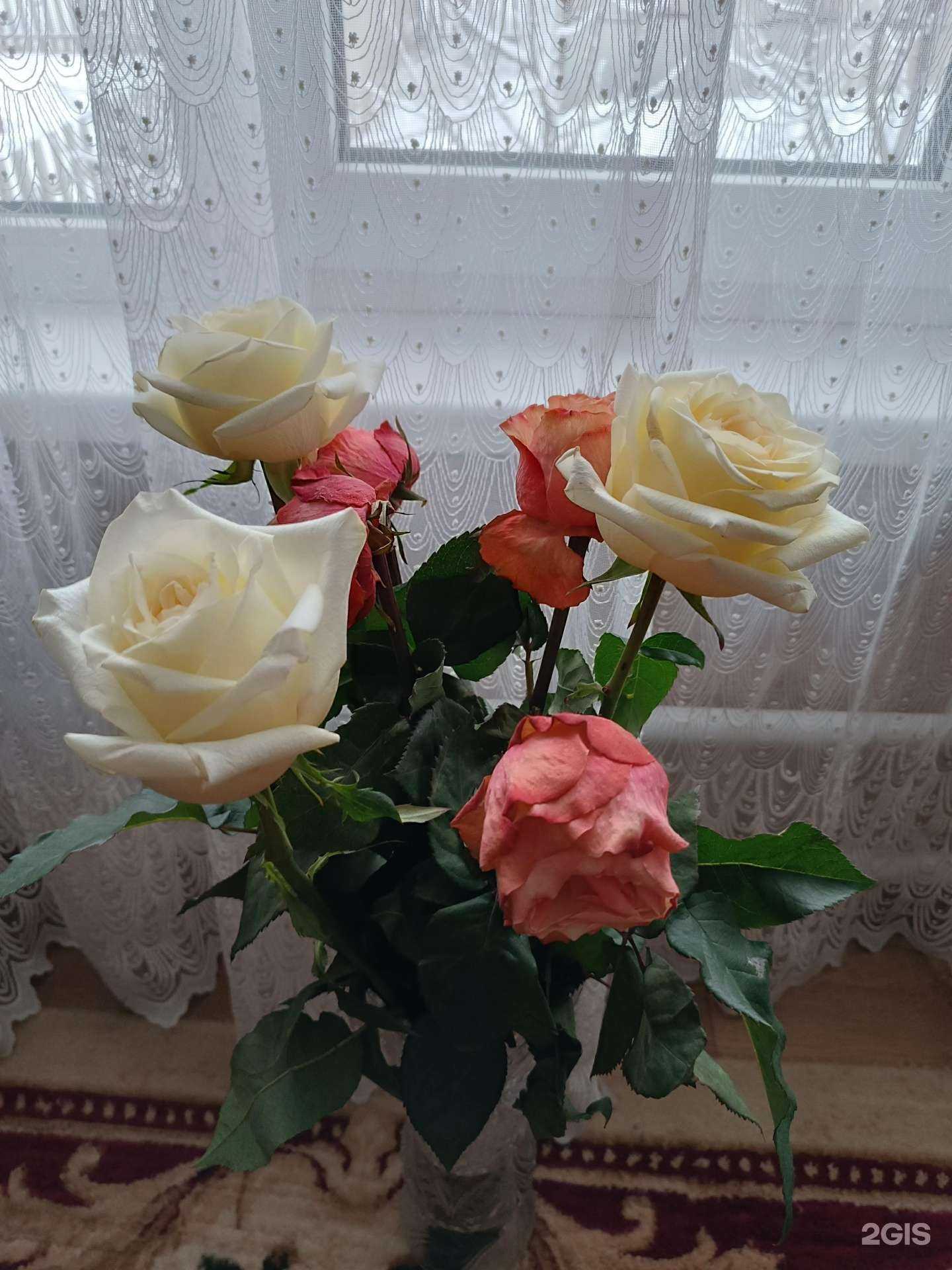 Отзывы на компанию Жасмин в Тамбове c фото