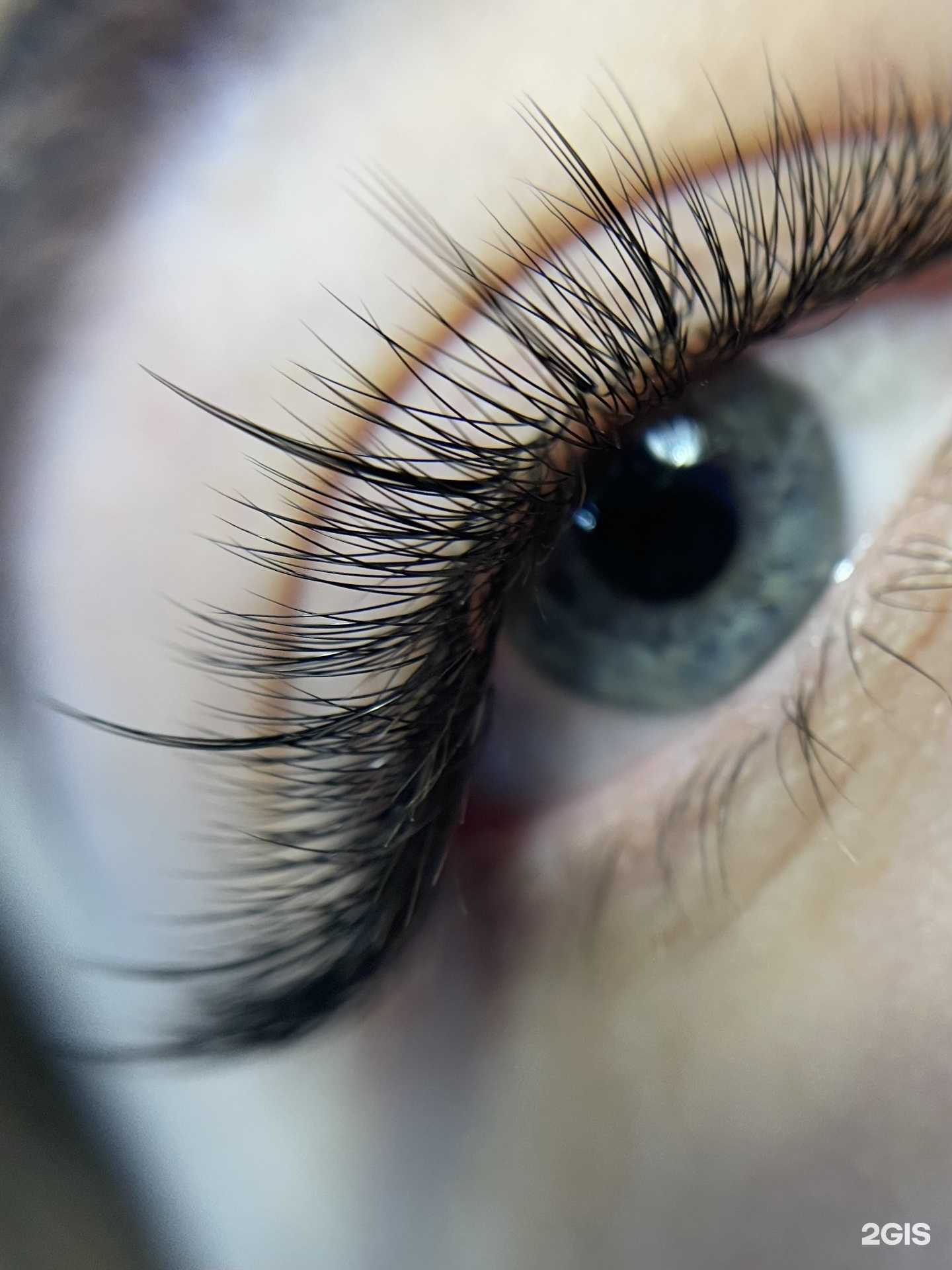 Отзывы на компанию YouLash в Новосибирске c фото