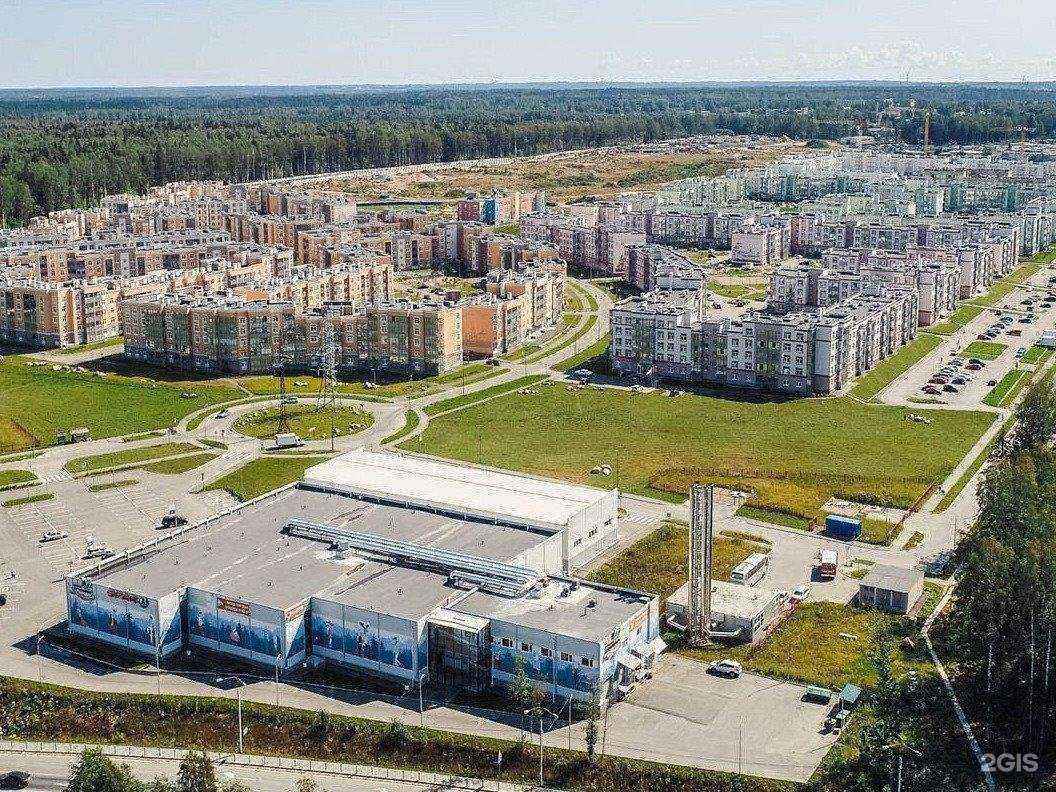 Отзывы на компанию Ленинградская областная школа боевых искусств в г. Сертолово c фото