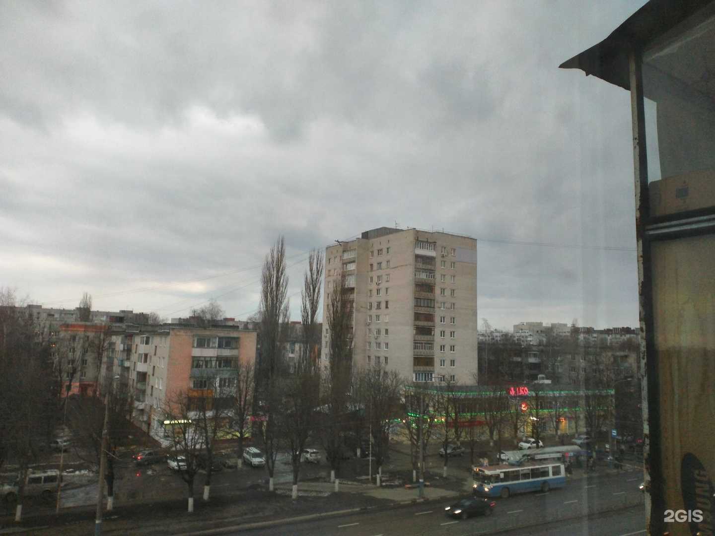 Отзывы на компанию Чио Чио в Брянске c фото - фотография 2 из 2