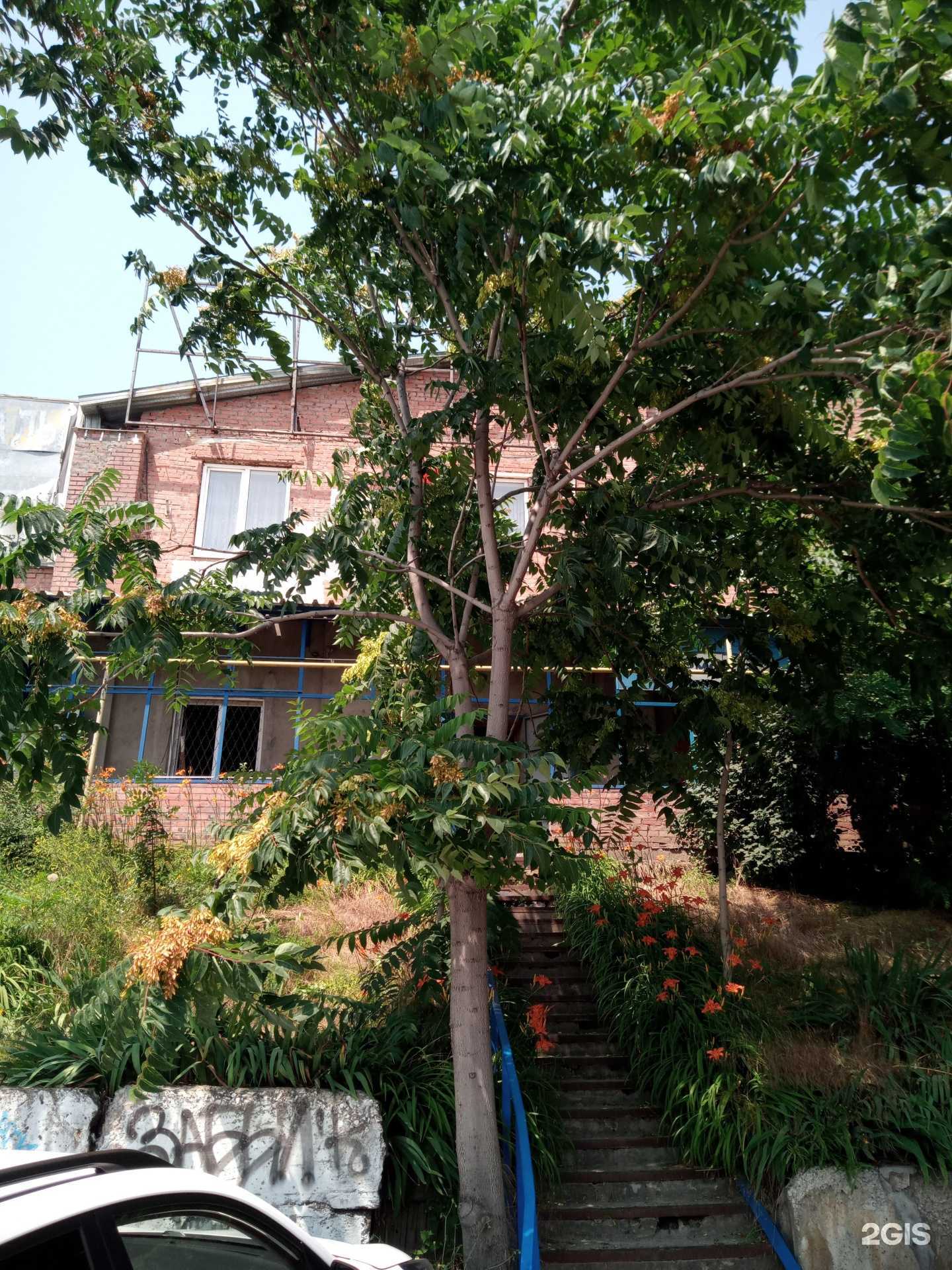 Отзывы на компанию Строительные материалы-2 в Ростове-на-Дону c фото - фотография 2 из 2