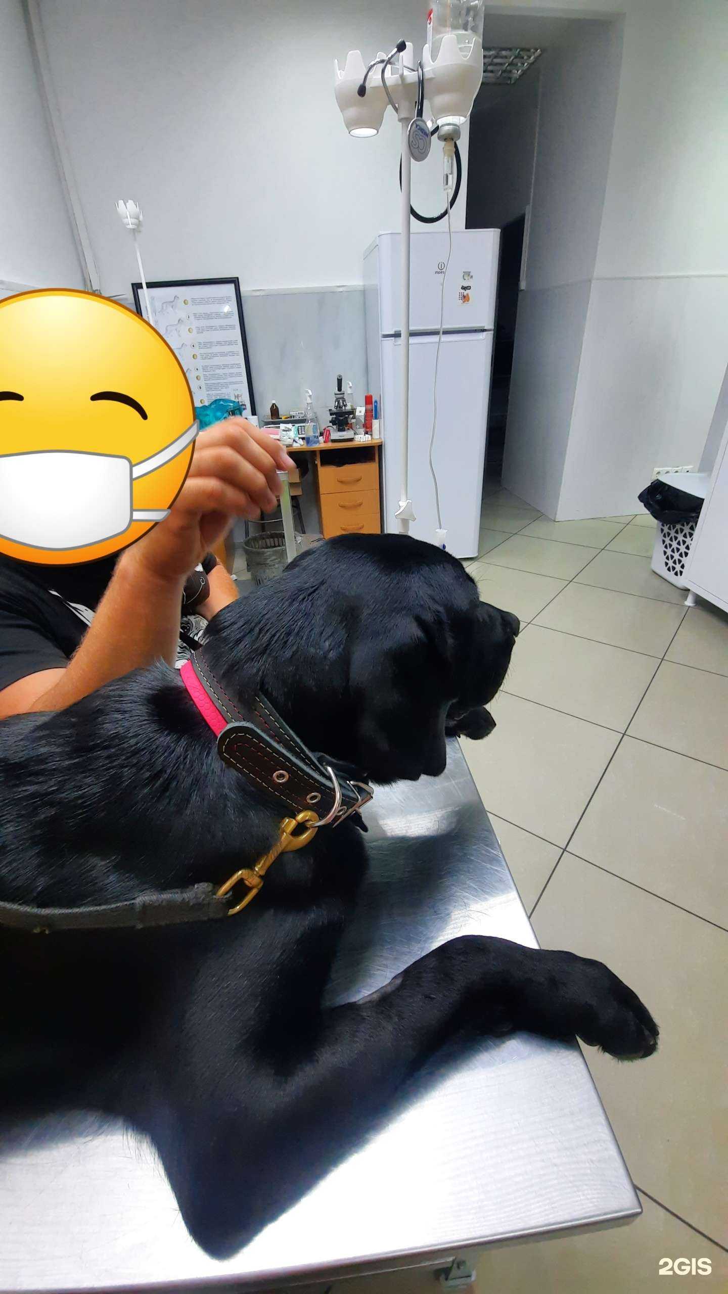 Отзывы на компанию Фармвет в г. Краснодар c фото