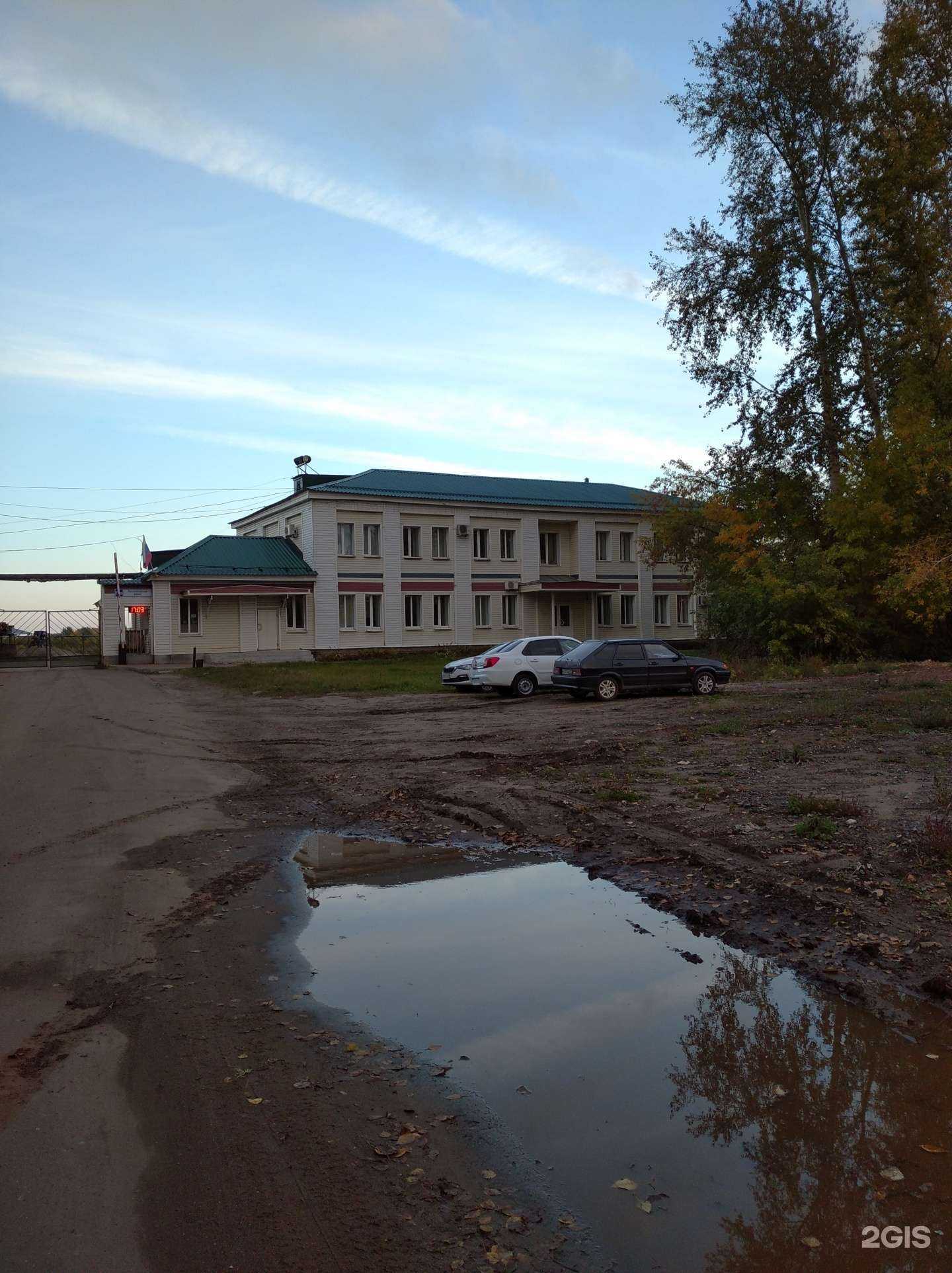 Отзывы на компанию Элит Строй Гарант в Кирове c фото