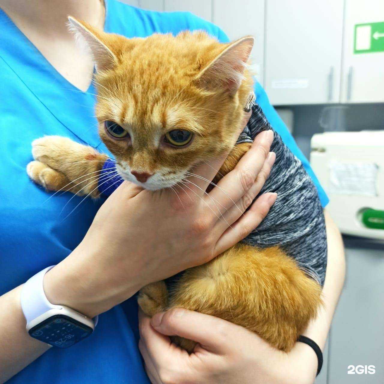 Отзывы на компанию ИнТерра в Новосибирске c фото