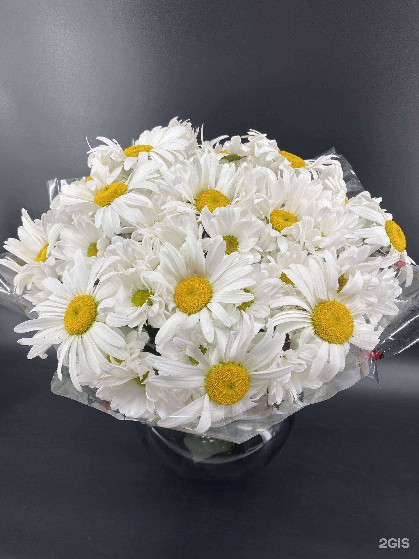 Отзывы на компанию Эдемский сад в г. Норильск c фото