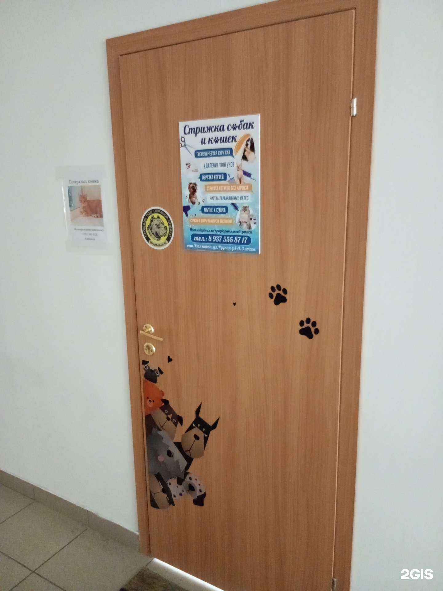 Отзывы на компанию Студия груминга в г. Волгоград c фото