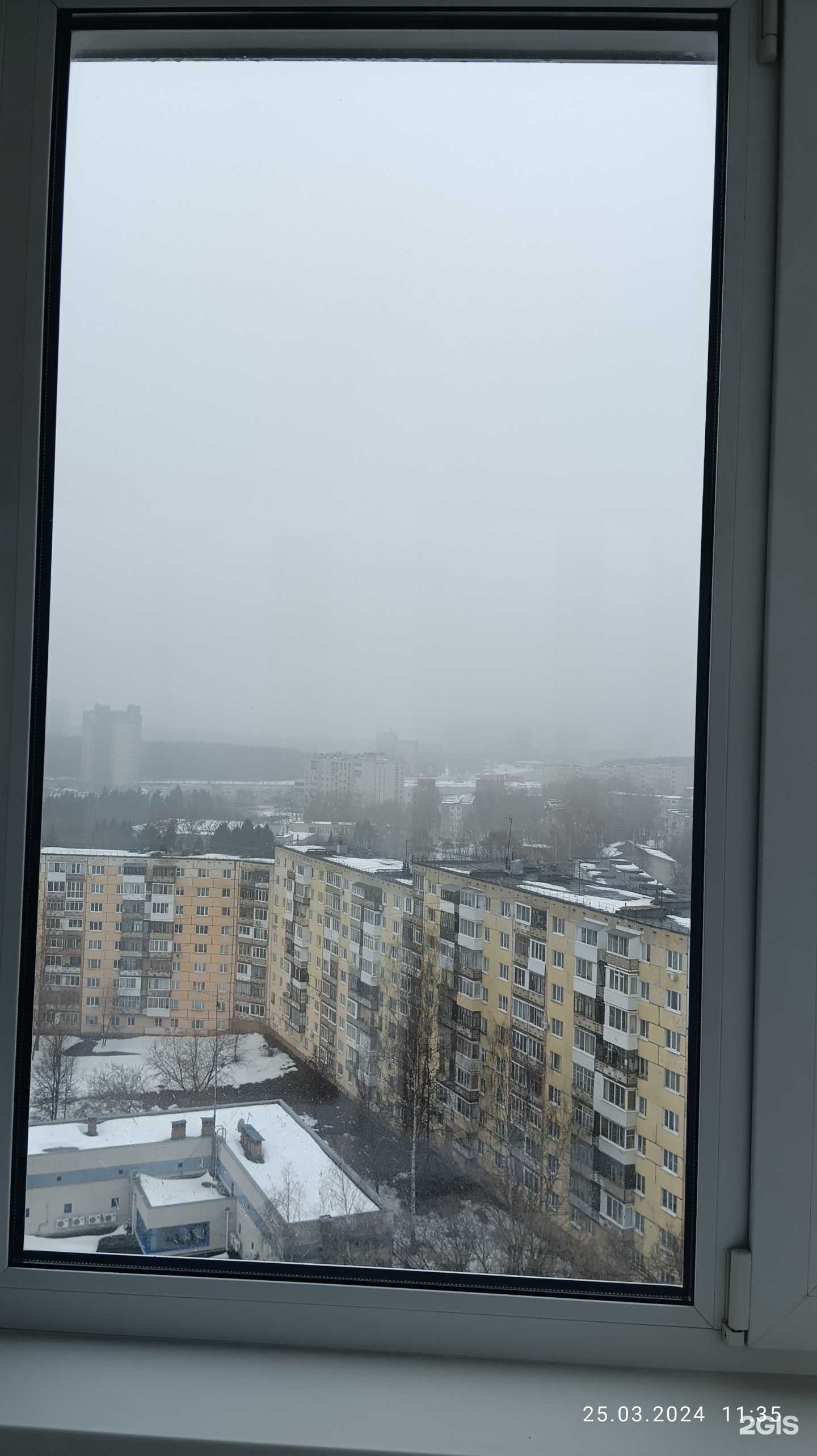 Отзывы на компанию Склад цветов в Ижевске c фото - фотография 2 из 2