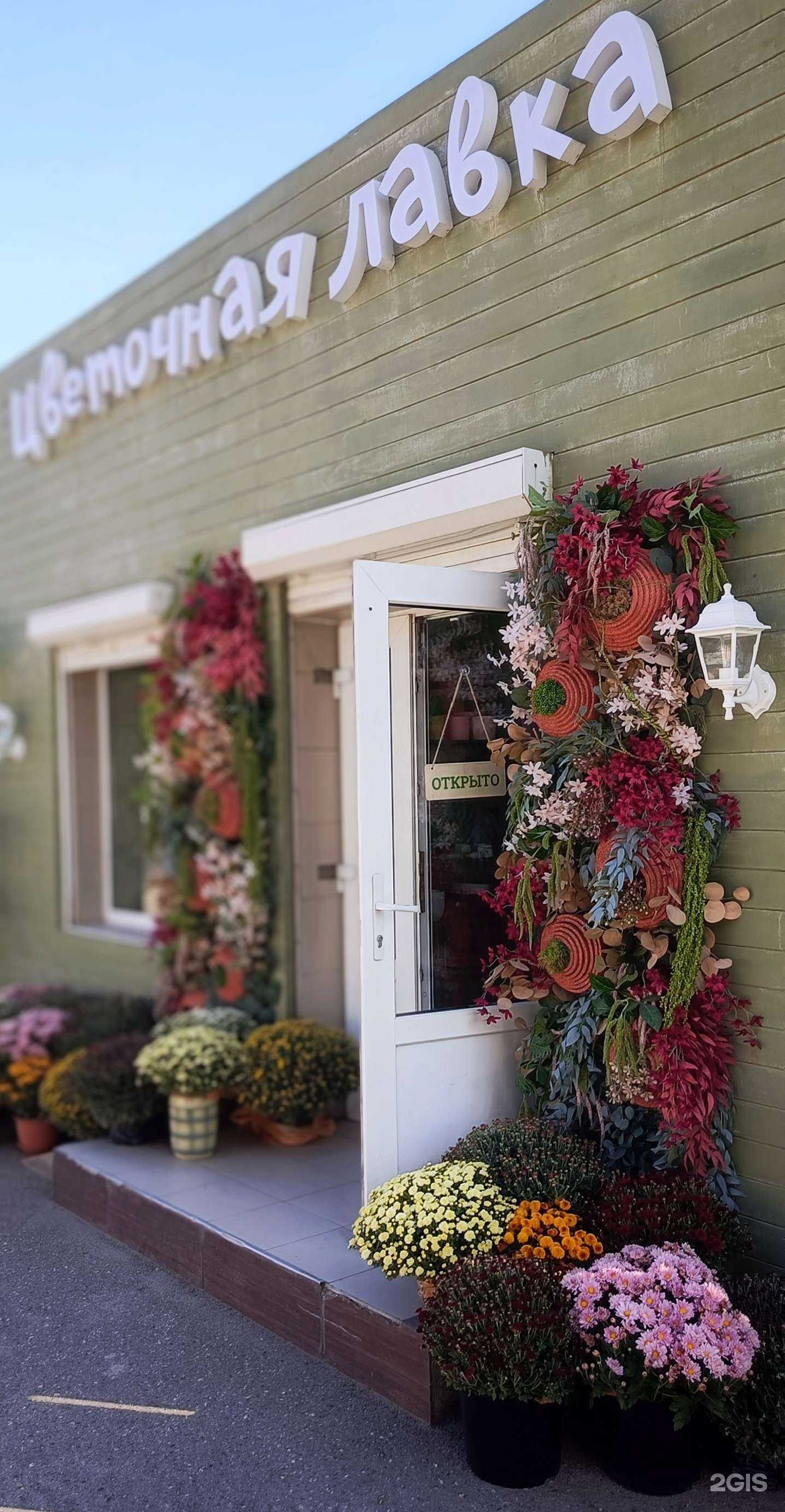 Отзывы на компанию Стрекоза  в Краснодаре c фото