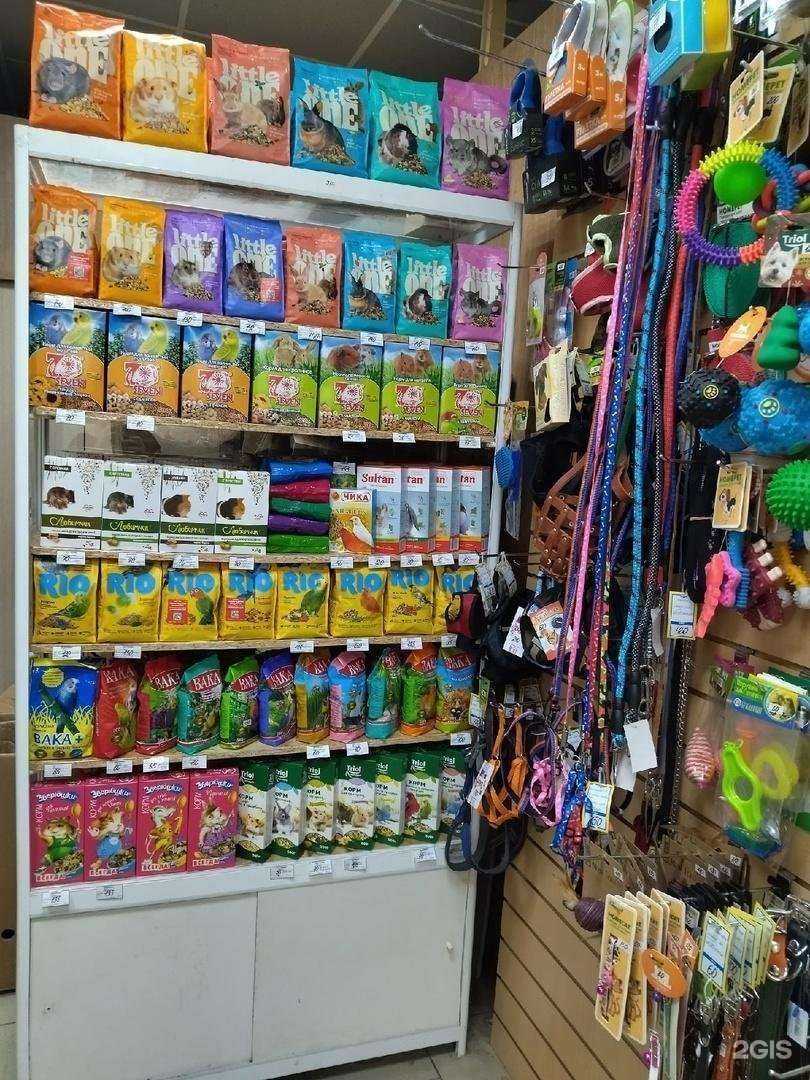 Отзывы на компанию Кошки-мышки в Липецке c фото