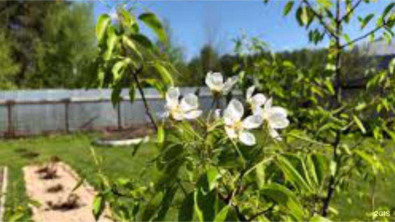 Отзывы на компанию Компания по продаже навоза, перегноя и торфа в г. Киров c фото