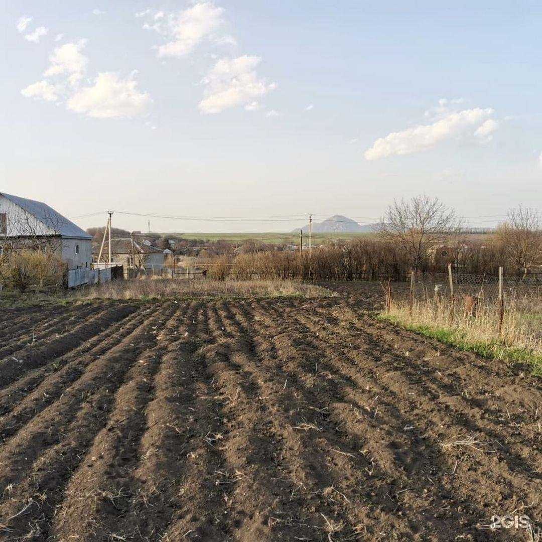 Отзывы на компанию Дом мечты в Пятигорске c фото